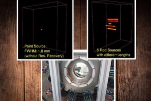 The first imaging of Animal PET system